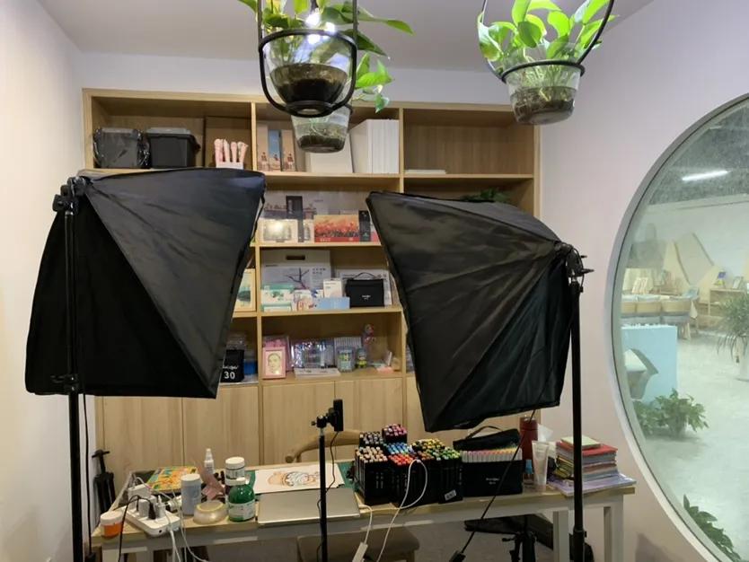 鏂囨暀琛屼笟鐜扮姸,鏁欒偛鏈烘瀯閫嗗娍鐖嗗彂