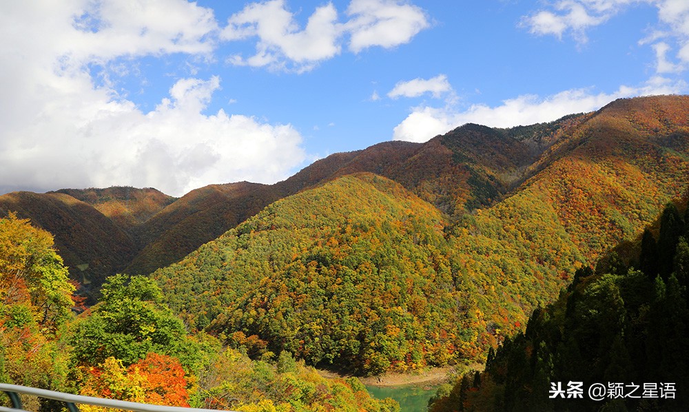几千块的日本电饭煲,国产锅日本锅
