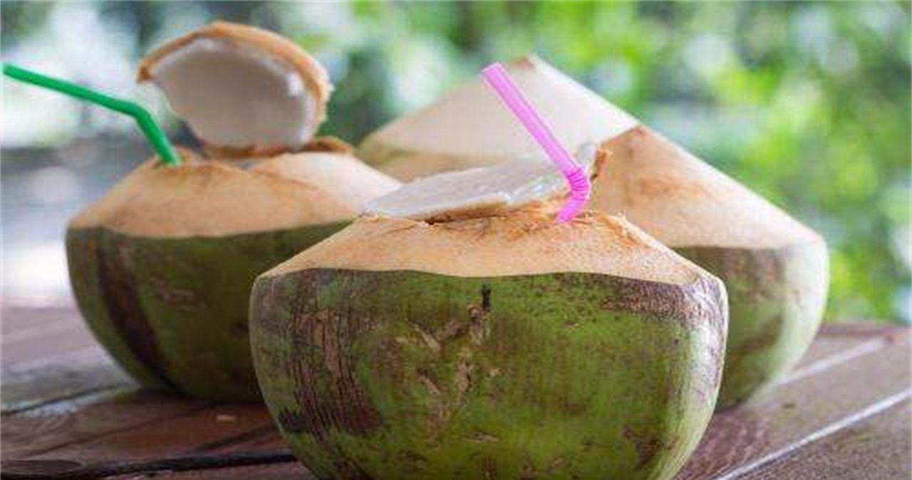 狗狗能吃椰子肉吗,狗狗吃椰子油有什么好处