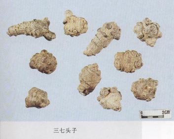 教你怎样辨别真假三七粉,网上买到的假三七粉怎么辨别