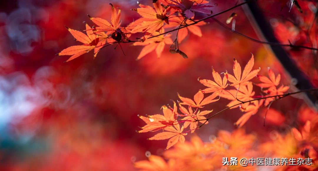 情绪抑郁导致失眠用什么药,春夏换季失眠抑郁