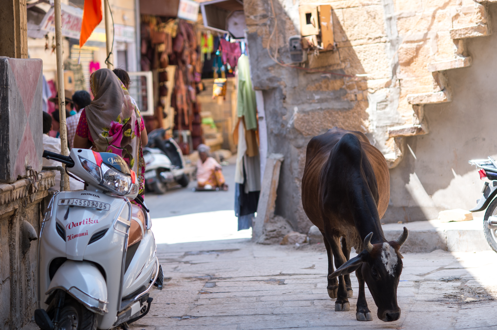 印度新德里郊外垃圾场,印度新德里大街垃圾真实状况