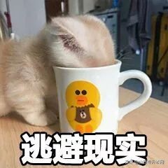 统招专升本最好的方法和途径,专科生的逆袭是真的吗