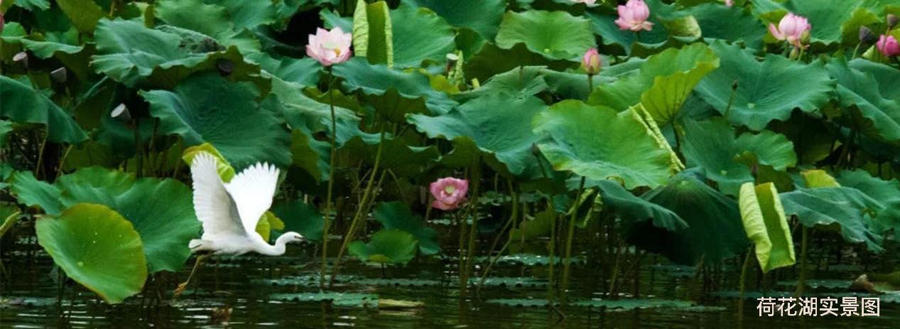 昆明嘉丽泽恒大养生谷湿地公园,昆明嘉丽泽恒大养生谷