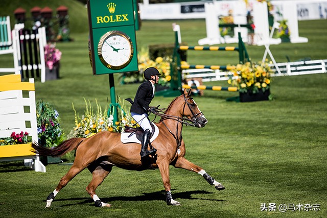 什么!听说几天后云杉草地将会上演一场冠军“厮杀”?