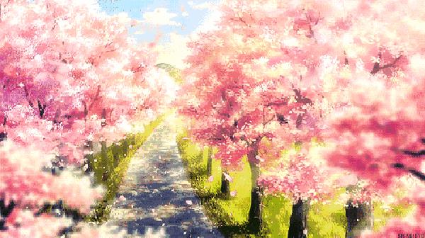 不负德阳三月好*光春**，换上安全耐扎的中橡狼牌轮胎，称霸朋友圈