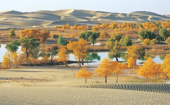 原始古朴的新疆罗布人村寨,新疆尉犁县罗布人风情园