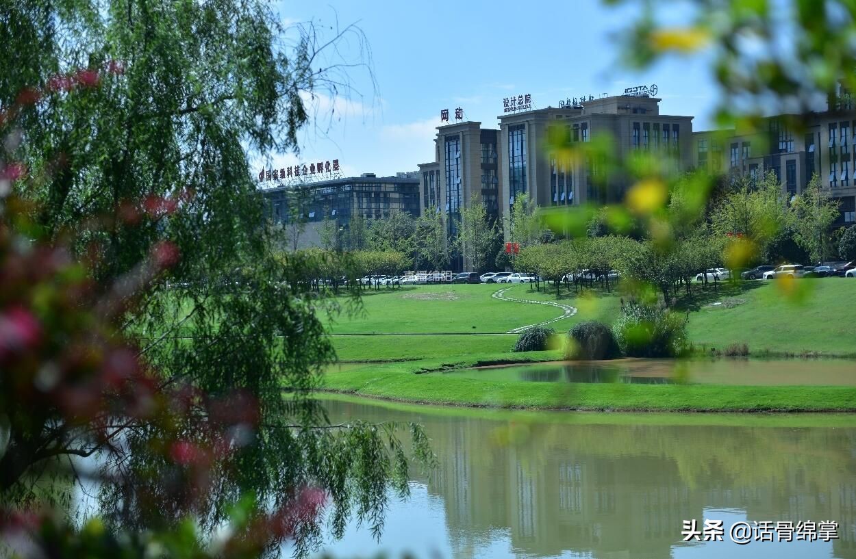 ​小直带你“逛双流”看看不一样的“天府第一窗口”