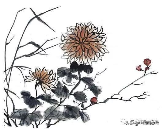 菊花花头花苞画法,菊花花头的画法步骤图片