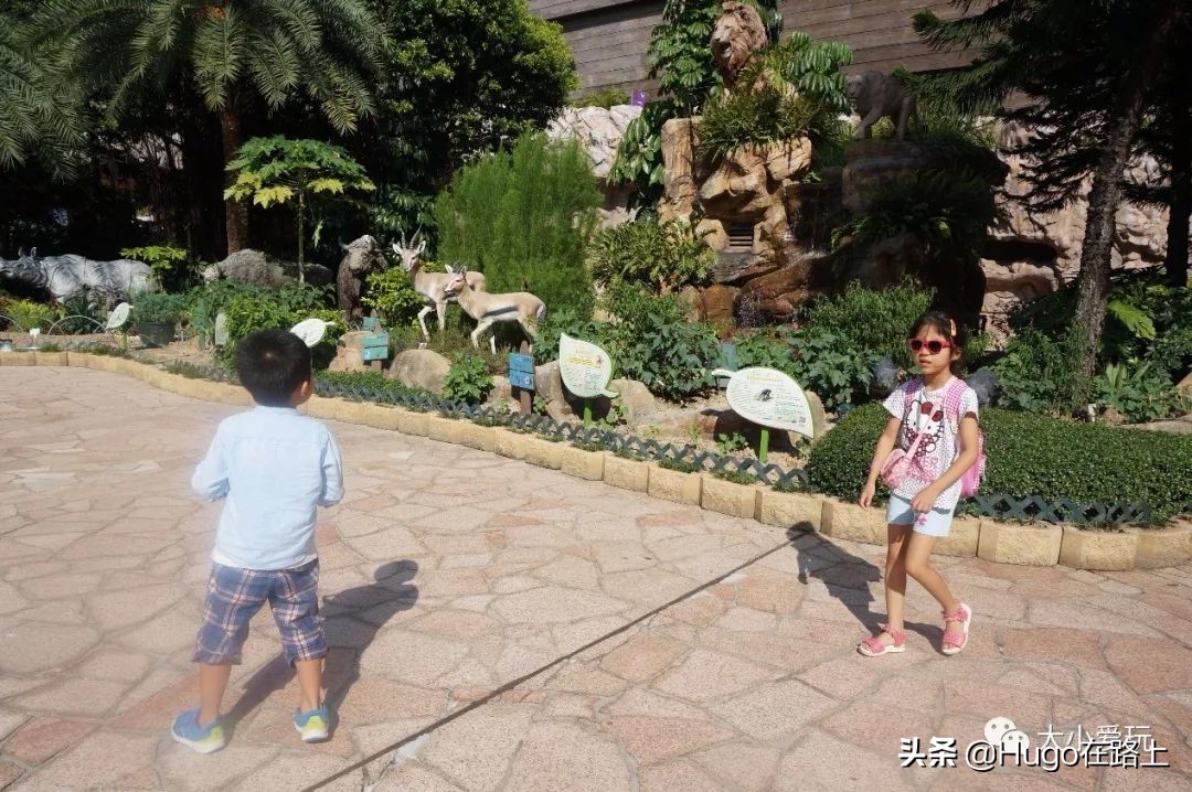 香港亲子游图文攻略图片大全,去香港亲子旅行攻略路线图片