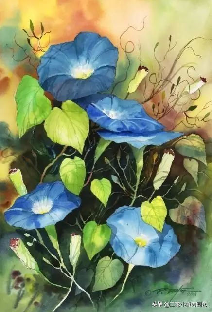 100种花卉绘画,100多张花卉线描手稿素材赶快收藏