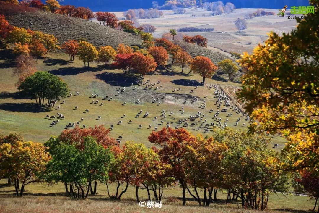 北京周边美丽的地方,初秋北京周边适合去的景点推荐