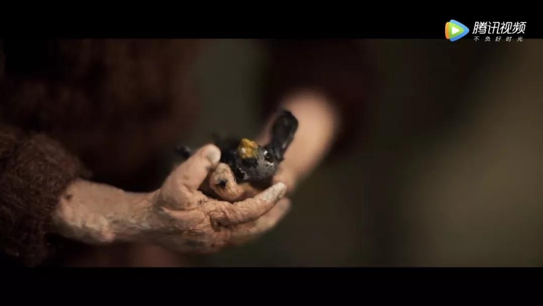 2023年奥斯卡最佳动画,2022奥斯卡最佳动画