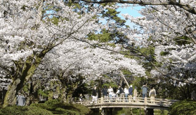 日本东京旅游攻略小众景点,日本东京小众旅游攻略