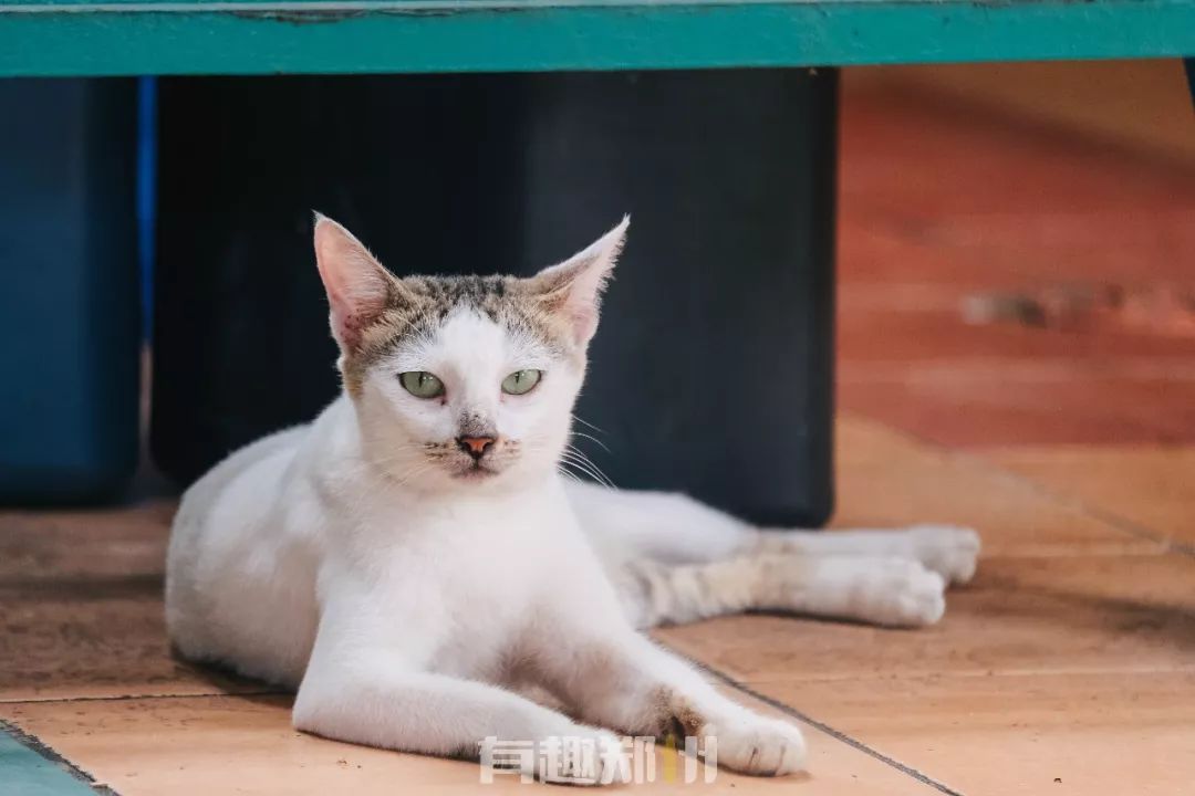 何时去菲律宾旅游最合适,菲律宾旅游攻略七日游自由行