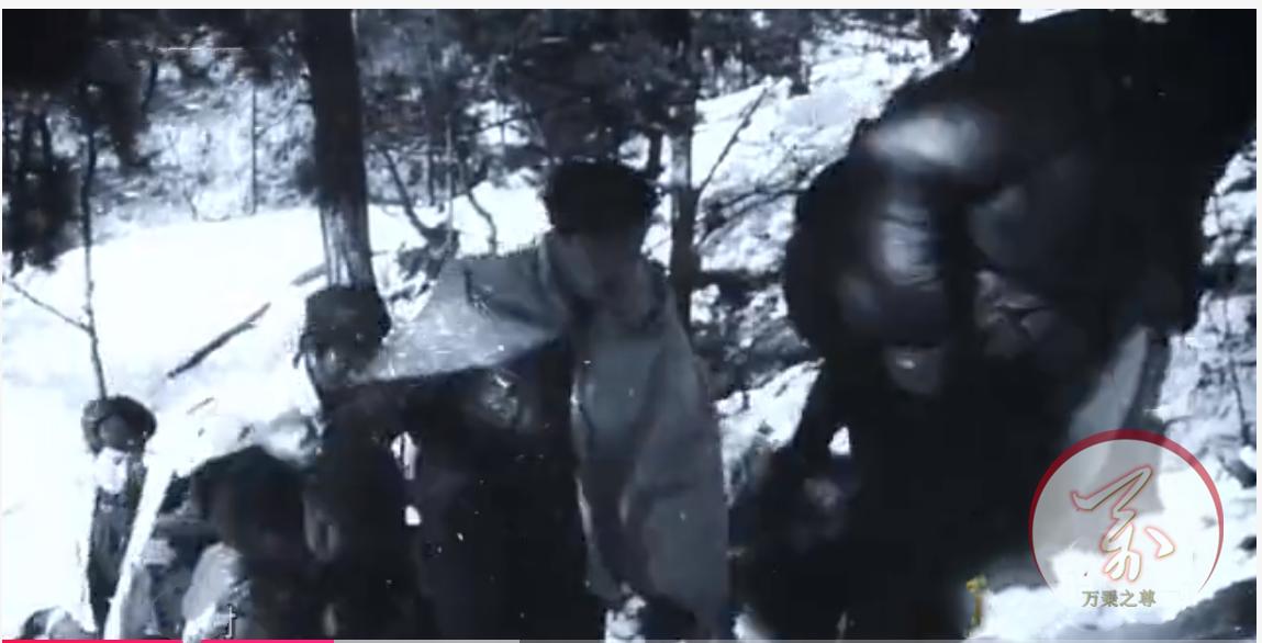 长津湖战役中美兵力对比,长津湖之战歼灭美军多少人