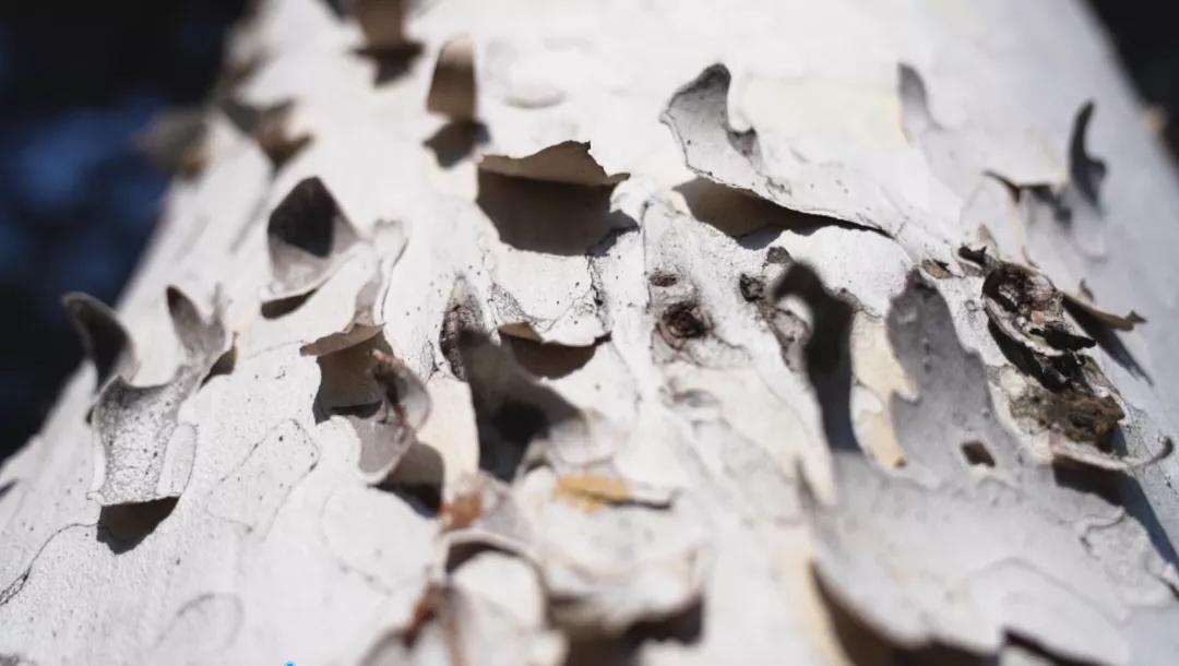 北京法海寺森林公园赏秋,石景山法海寺必看景点