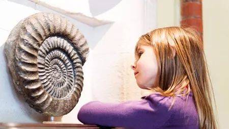 如何培养孩子的自律性学习,怎么培养孩子的自律性