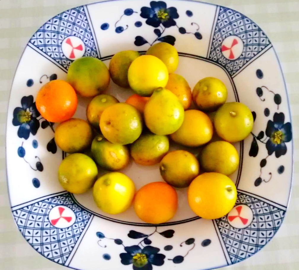 金桔直接吃有什么营养,金桔可以蒸着吃有什么好处