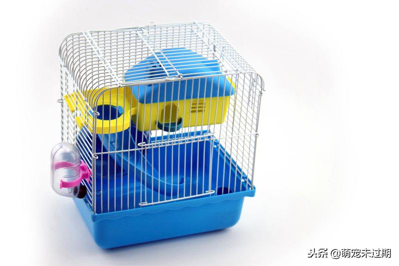 怎么照顾已经怀孕的仓鼠,仓鼠生下孩子后如何照顾