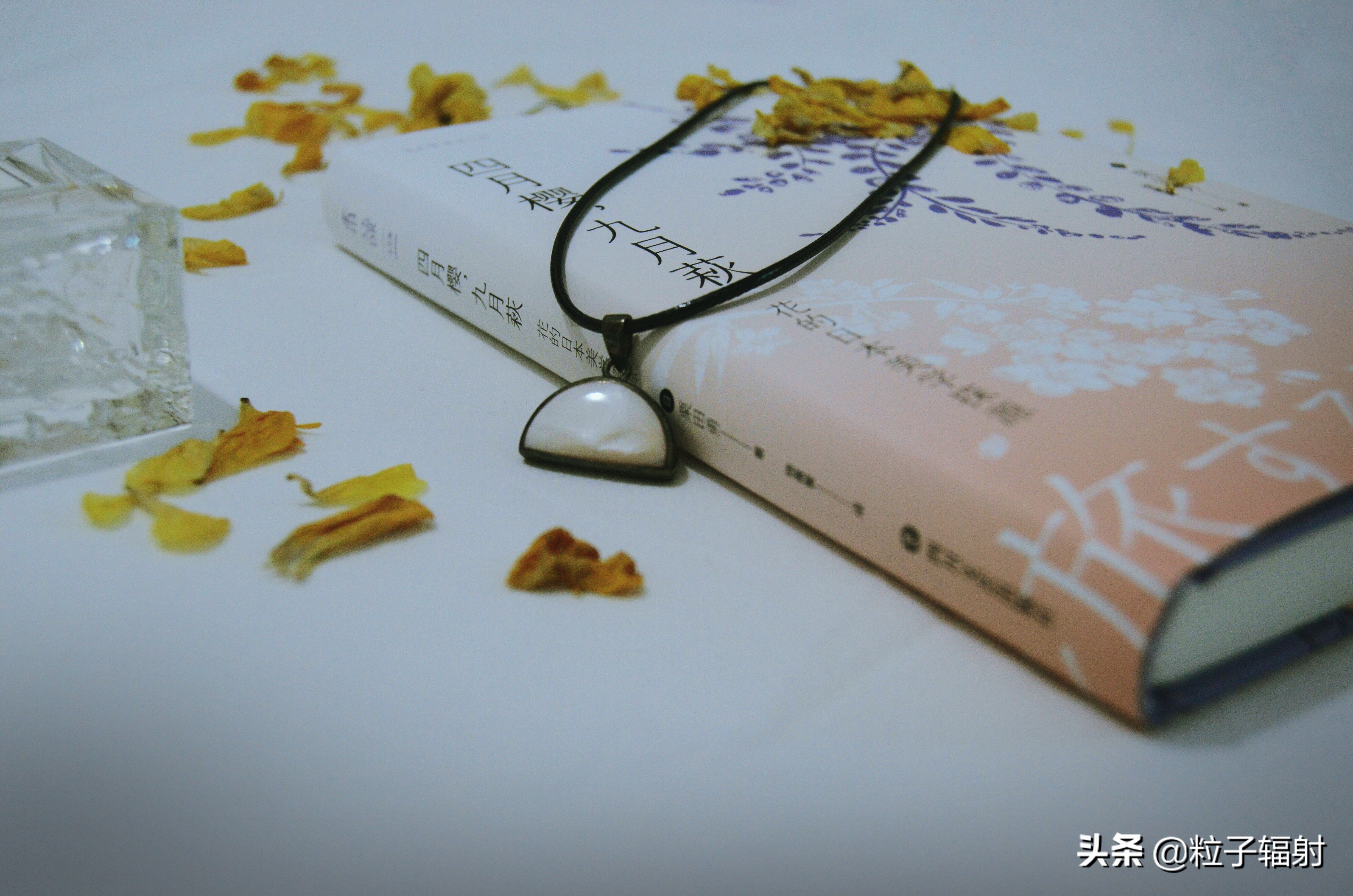 写给春天的告白情书,写一封告白的情书