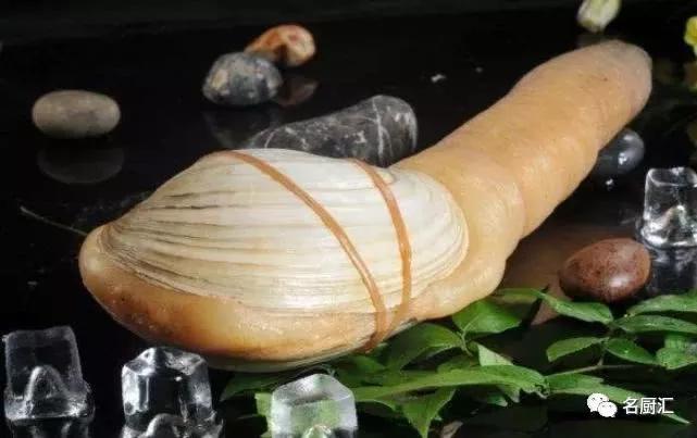 世界高端海鲜品牌,世界顶级海鲜在哪里