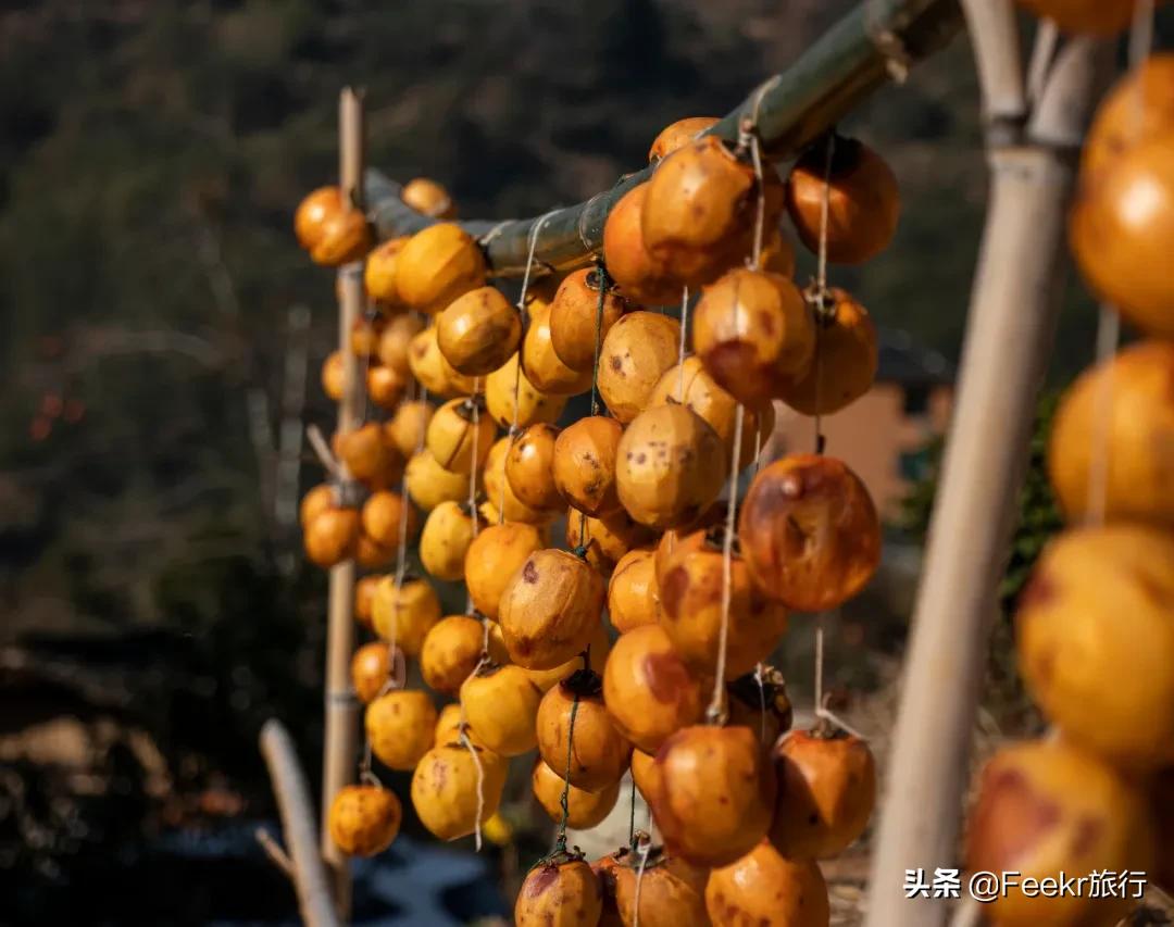 松阳又出一家避世仙居,改自老建筑仅设22间房,值得小住几日