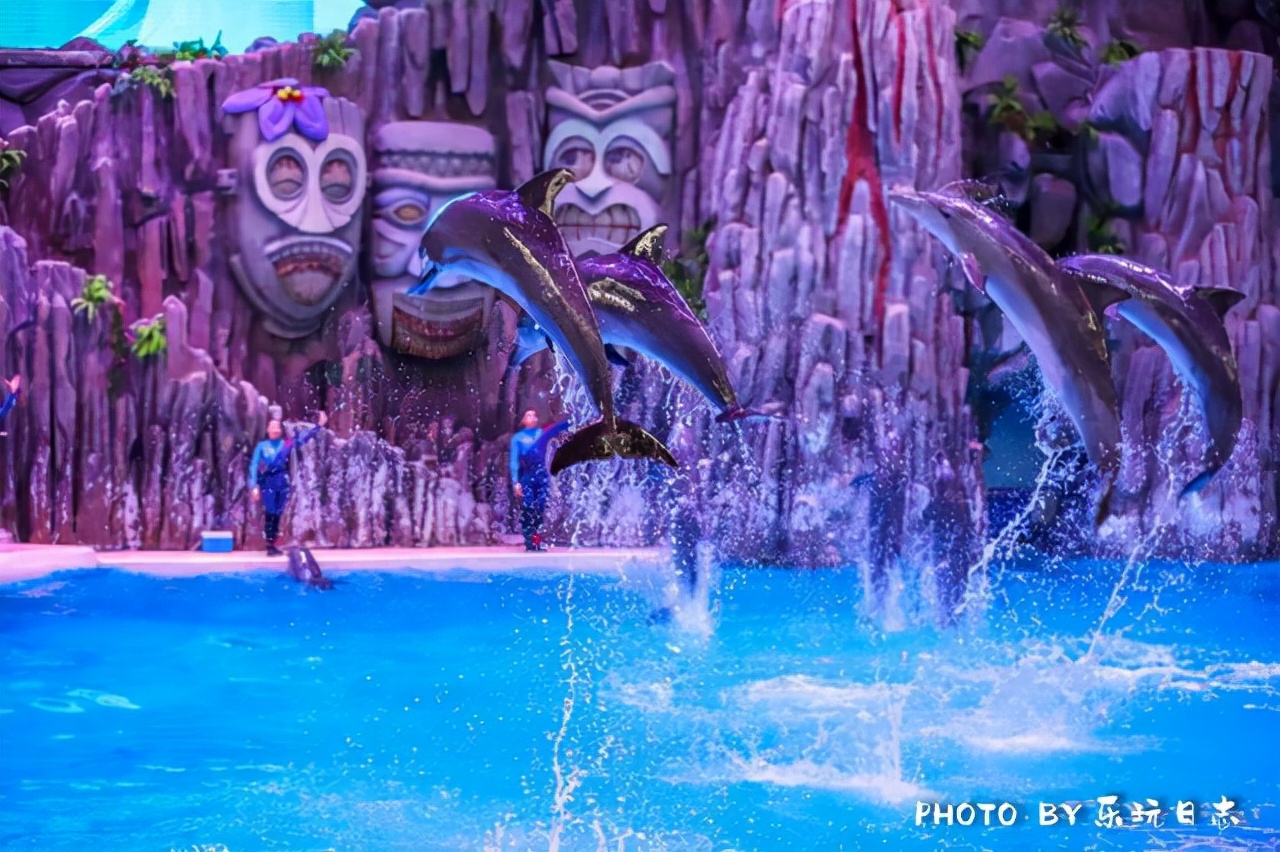 来珠海旅游必打卡的景点,春节珠海亲子游玩地方推荐