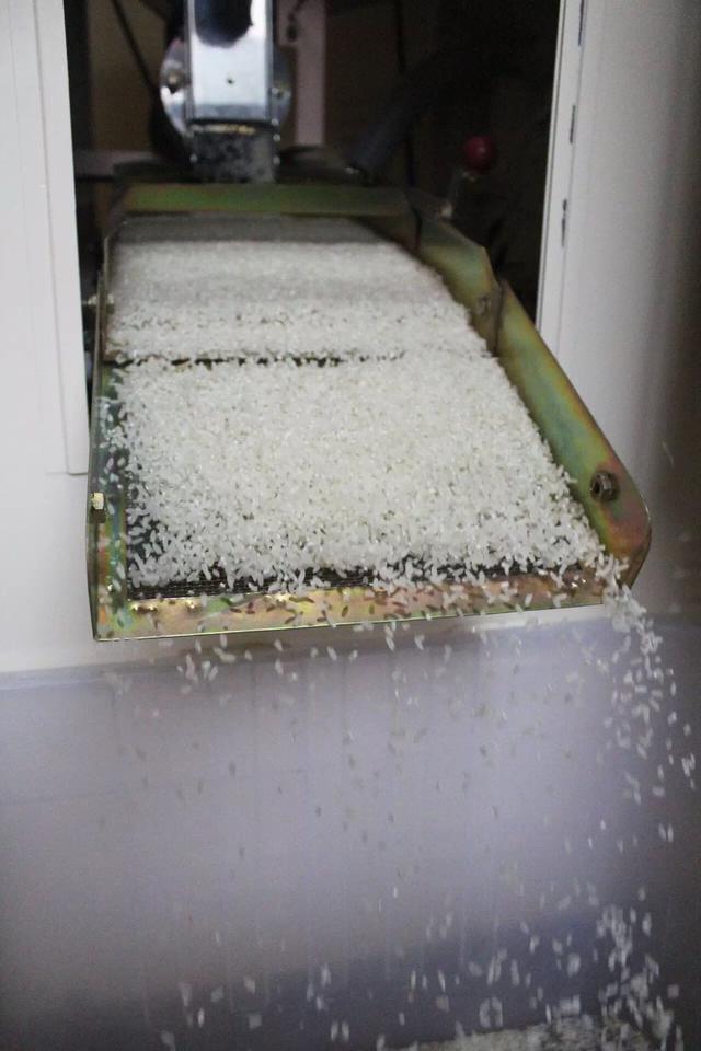 2021现磨新米正宗大米,胚芽大米现磨现卖