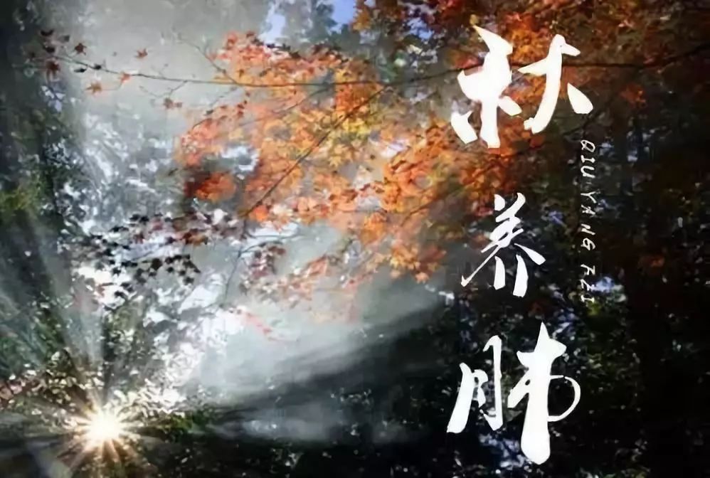 肺气不足怎么调理最有效,肺气不足怎么调理好得快