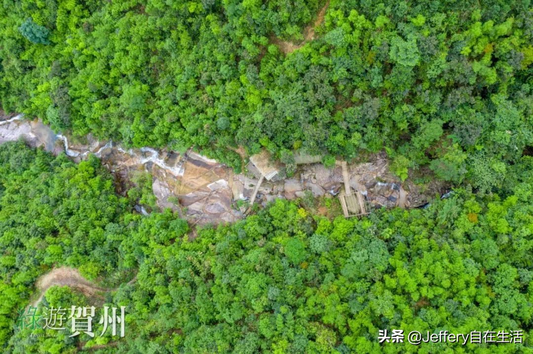 拍贺州｜莲塘镇大山深处的“一号基地”