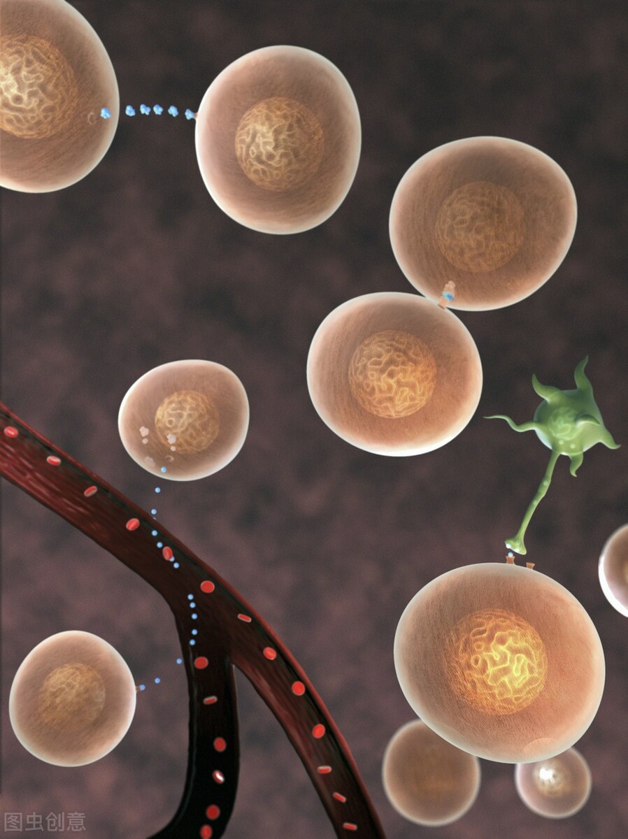 关注HPV感染,关注宫颈癌!怎么防?医生给出这些建议,建议收藏