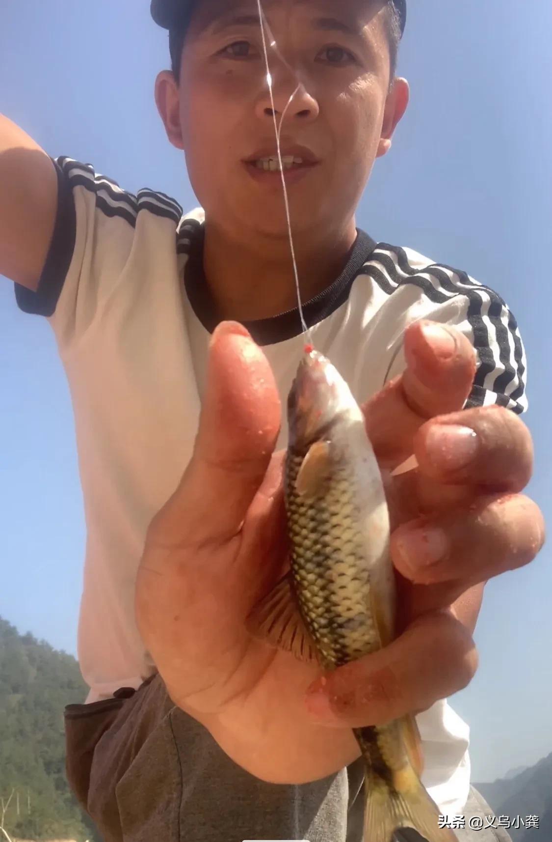 钓椅与钓箱与马扎哪个更适合野钓,新手买钓椅还是钓箱还是钓台