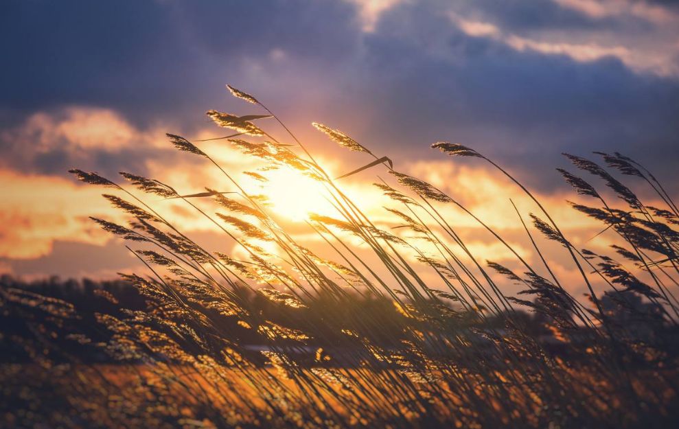 描写闲适恬淡生活的古诗句,表现悠闲生活的诗词整首