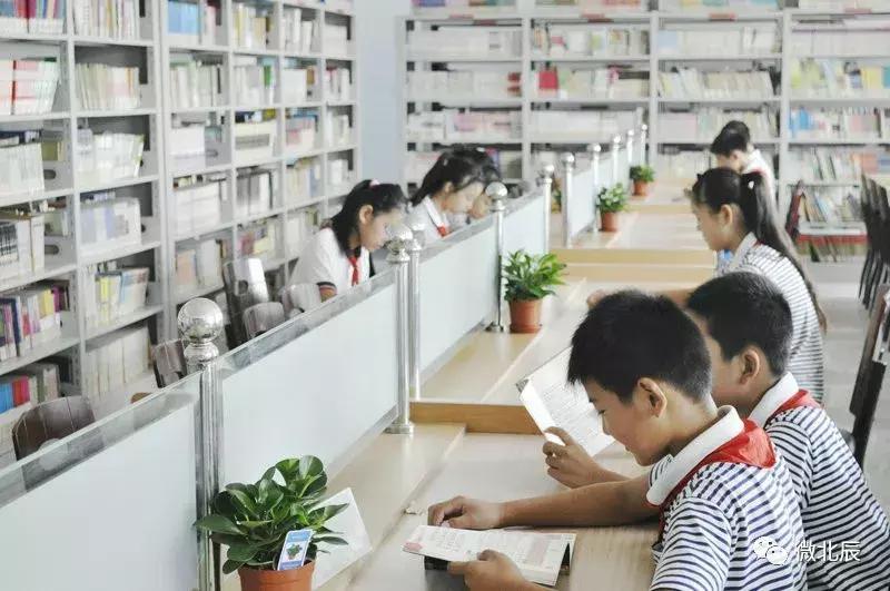 北辰教育发展,北辰教育现状