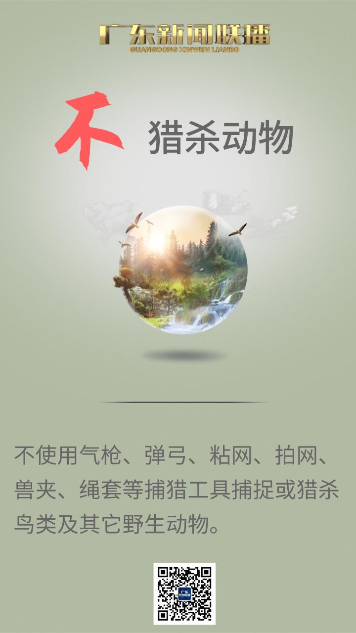 为了保护它们，广东实施这个工程