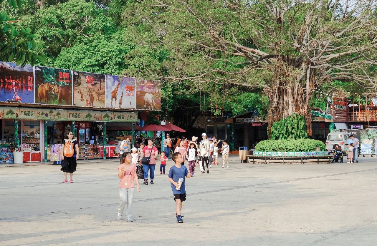 深圳3号线有哪些可以玩的,深圳7号线攻略