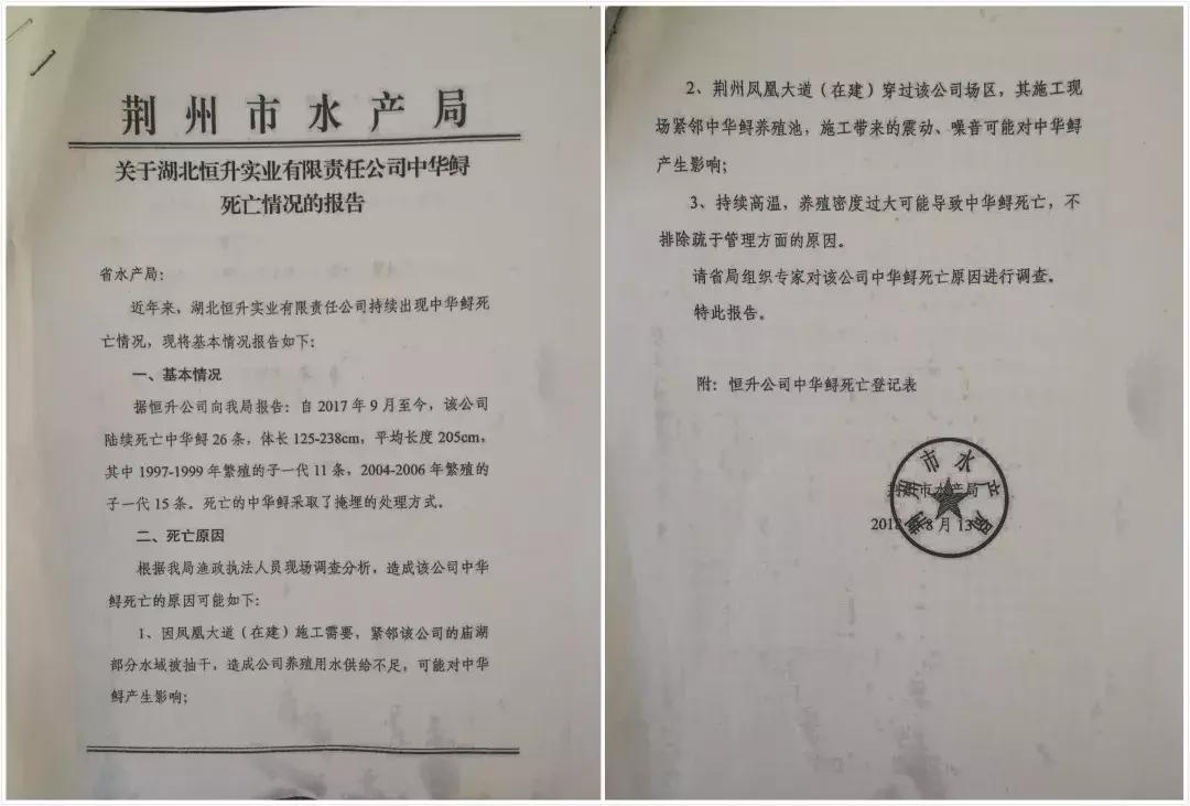 谁杀死了“大鱼”？——生死中华鲟