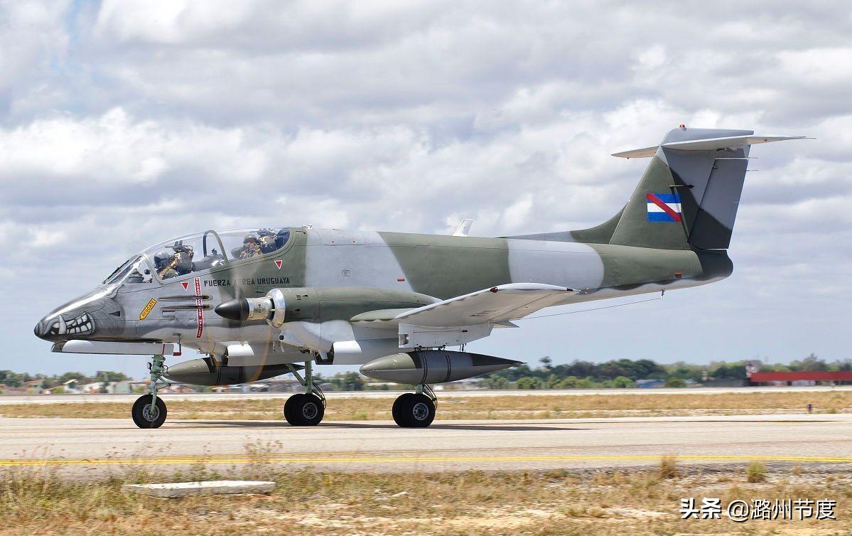 潘帕斯雄鹰折翼卡塔尔,潘帕斯雄鹰折翼