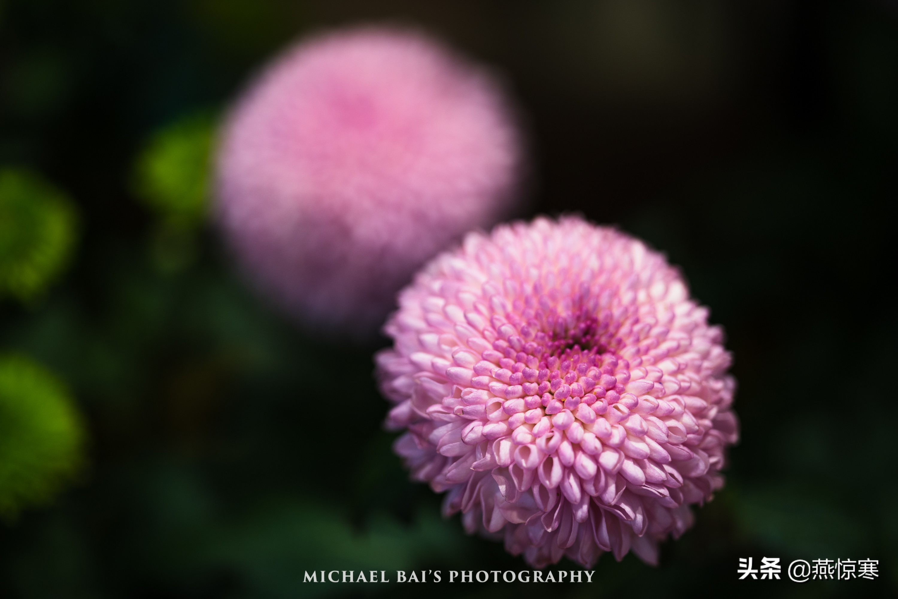 索尼除了24105还有哪些经典镜头,索尼40-2.5镜头评测