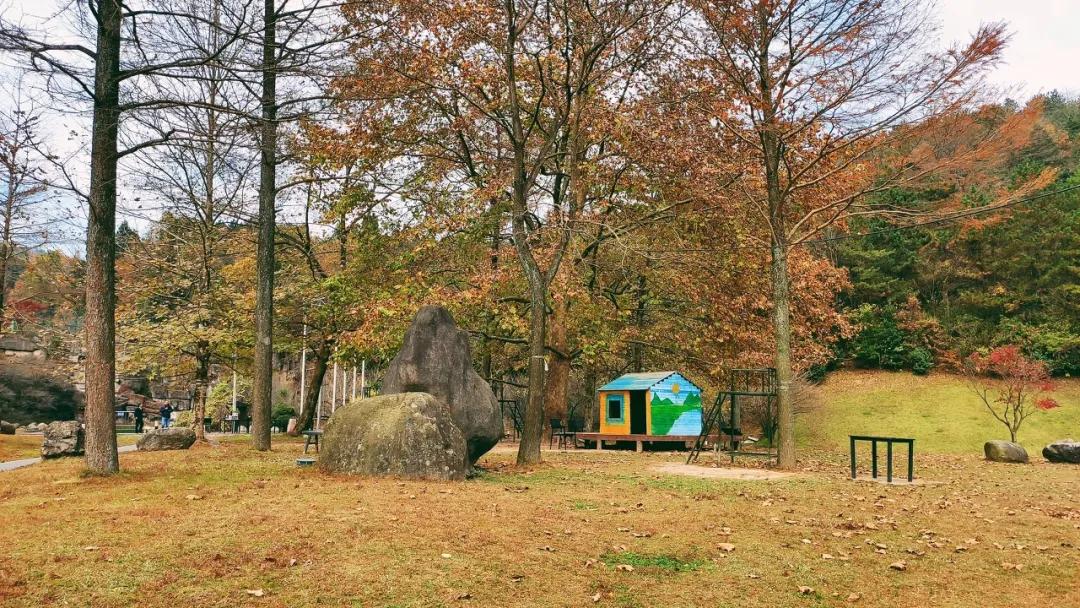 鐙傞浜烘皵鐜扮姸,浜烘皵鐙傞