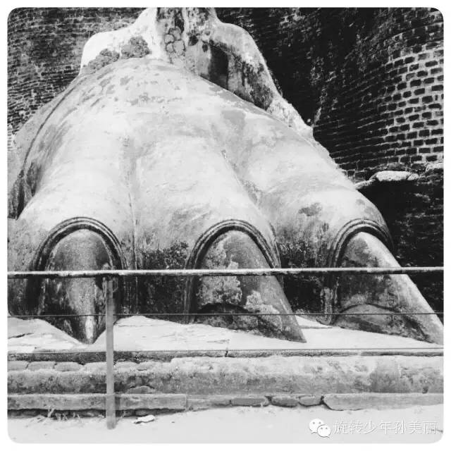 记录了在斯里兰卡美好的回忆,斯里兰卡之旅留下的美好回忆