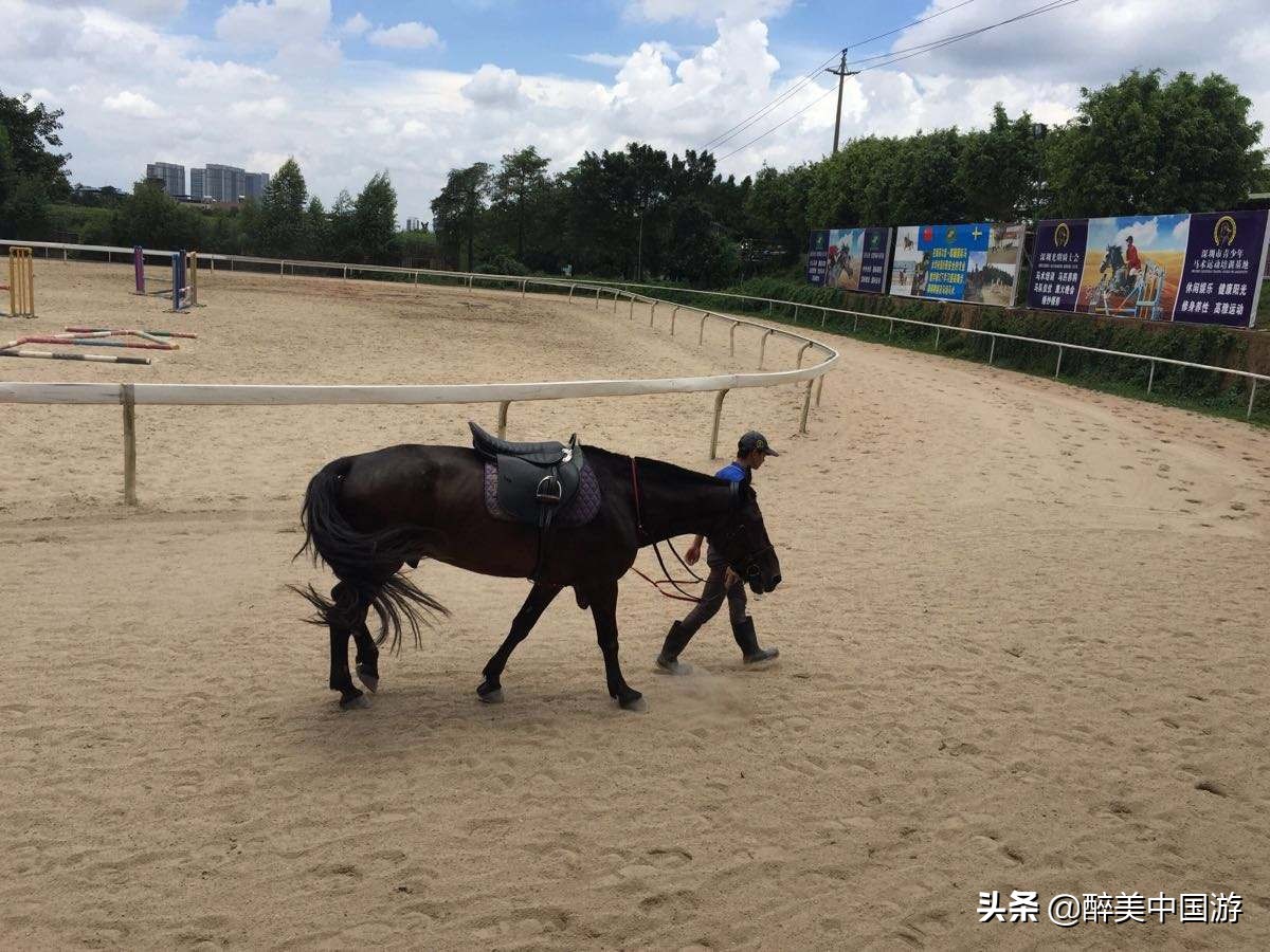 深圳光明农场大观园大攻略,深圳光明农场大观园游玩路线攻略