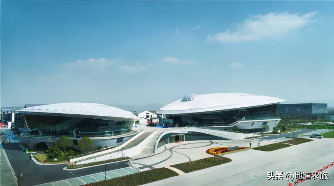 看她如何从砂砾到宝珠，实现乡村振兴，仅线上销售就达20亿