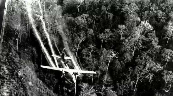 美军越战用的橙剂是什么,越南人对越南橙剂事件的看法