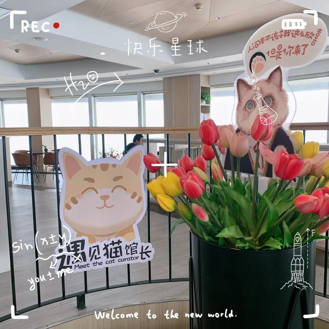 天津天塔内部长什么样,天津天塔柱子里有什么