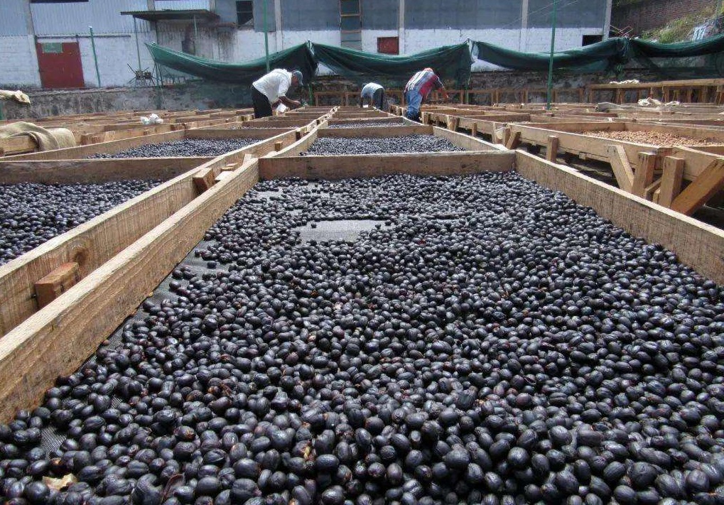 中美洲萨尔瓦多火山喷发,萨尔瓦多国内多火山原因