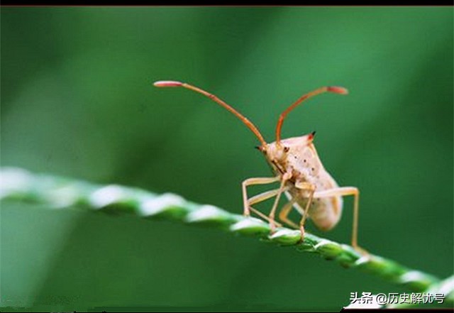 孔子说一年有三季被后人大赞智慧,孔子对学生讲一年只有三季的典故