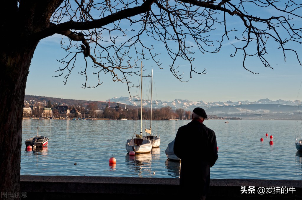 为什么说缠论是个坑,缠论到底有多难学