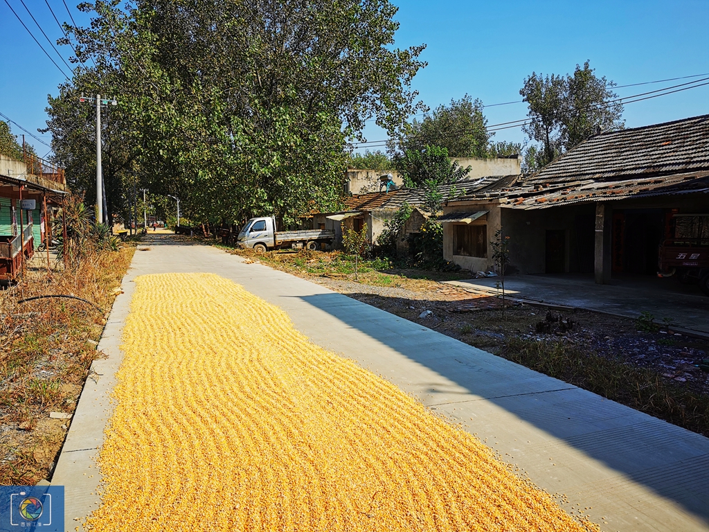 中秋探亲见闻,中秋回家过节回忆小时候
